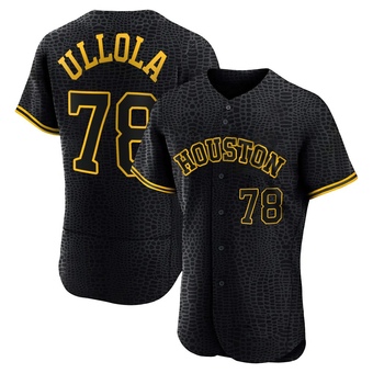 Authentic Houston Astros Miguel Ullola Snake Skin City Jersey - Black