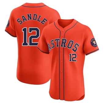 Elite Houston Astros Michael Sandle Alternate Vapor Premier Jersey - Orange