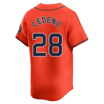 Limited Houston Astros Cesar Cedeno Alternate Jersey - Orange