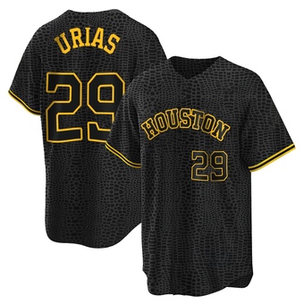 Youth Replica Houston Astros Ramon Urias Snake Skin City Jersey - Black